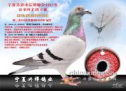 ���ҵڶ��ؽ������� �ھ���ϵ������