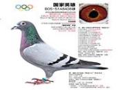 ÿ��һ�룺�仧�й���11���ٶ����ھ�������Ӣ�ۡ�