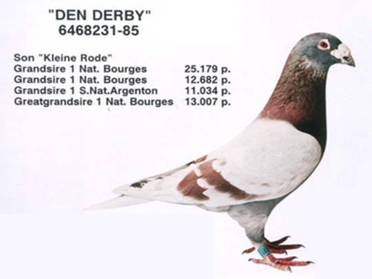 ÿ��һ�룺���ص�һ�����ָ롰�رȺš�