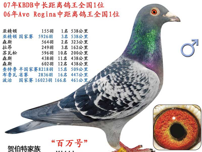 ÿ��һ�룺�����KBDB�о������һλ������š�