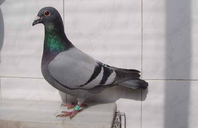 ��ѧ������ ѧѧ������ø�