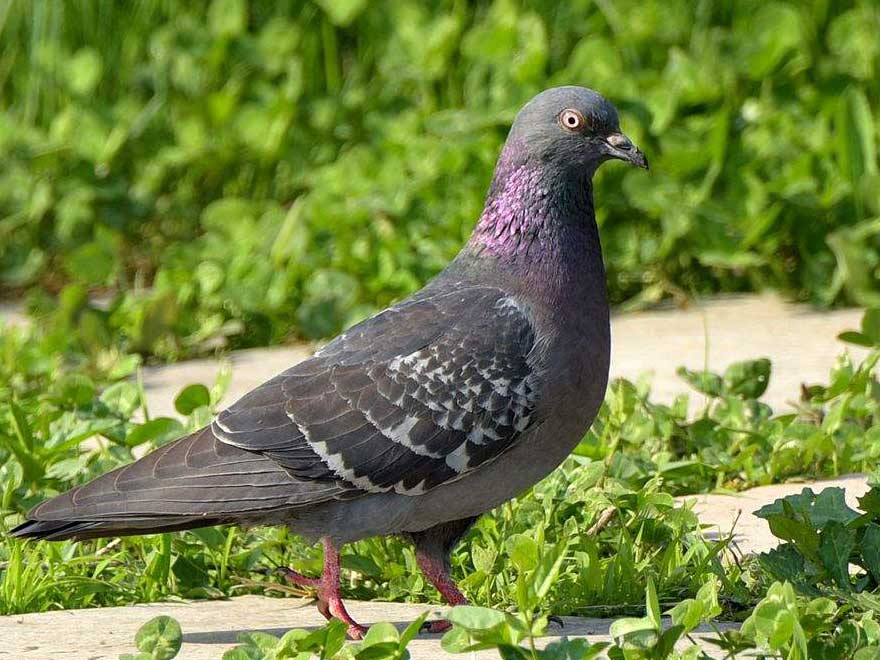 �����˶��Ѱ���ɵ��հ�ߣ�