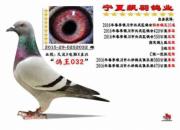 �ٴ��Ի� ����ǰ10���͵ġ�����32�š� 