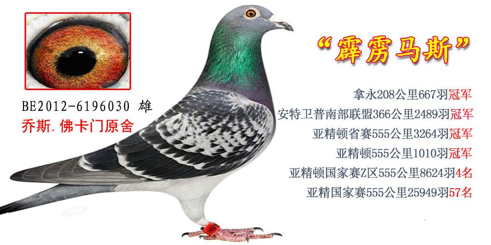 ÿ��һ�룺�����ٶ����������ǡ������š�