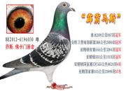 ÿ��һ�룺�����ٶ����������ǡ������š�
