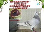 ����ʱ�̣�200��������񽱾���