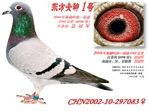 ÿһ룺2700鳲ġй1š