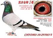 ÿ��һ�룺2700�������鳲�ġ��й�1�š�