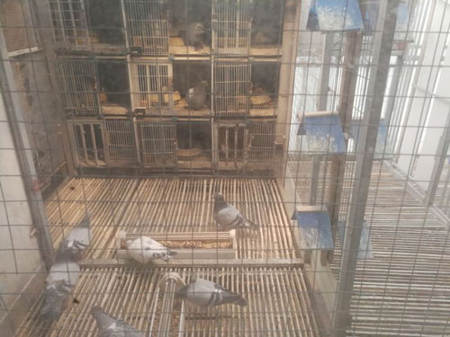 ������̨��������ϸ��