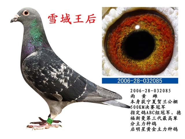 ÿ��һ�룺��ϵ���Ӿ��˵ġ�ѩ������