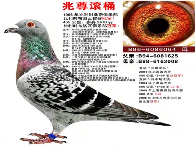 ÿ��һ�룺������Ǿ�����ʤ���ġ���ͰС�㡱