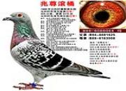 ÿ��һ�룺������Ǿ�����ʤ���ġ���ͰС�㡱