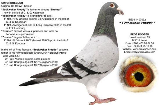 ÿ��һ�룺�޴����������ĳ������׵�