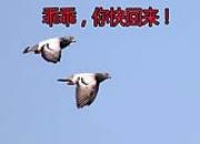 �ٿƳ�֪ʶ��ǳ̸��������ٹ鳲�ߴ��ؾ�