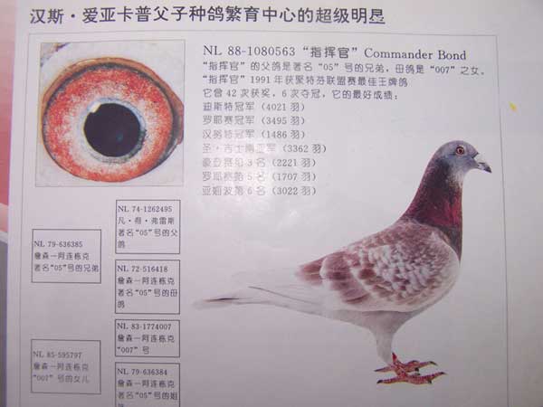 ÿ��һ�룺42�λ����ζ�ڵ�ָ�ӹ�