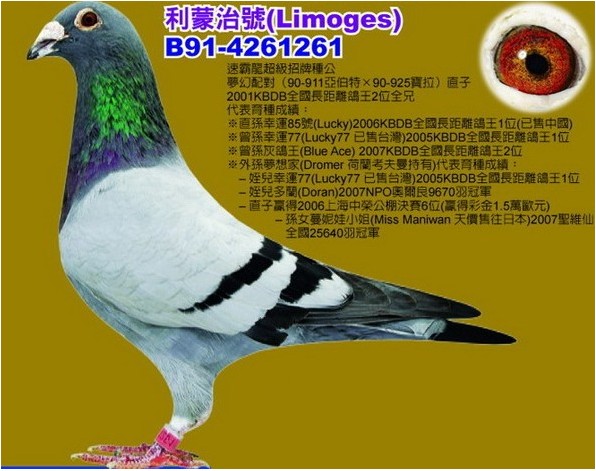 ÿ��һ�룺�ٰ������������ֹ������κ�