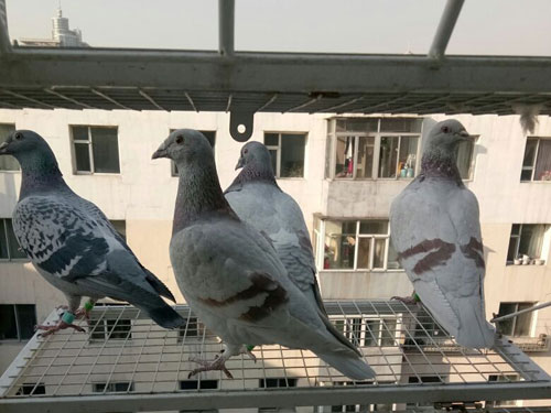 ������̫�����ˣ�