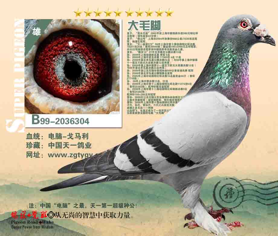 ÿ��һ�룺�������ɵĳ������ۡ���ë�š�