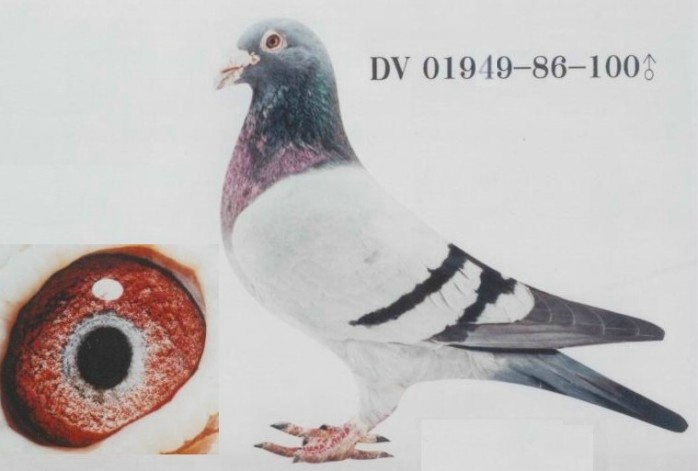 ÿ��һ�룺���ʺ칫ֱ�Ӹ���������100�š�