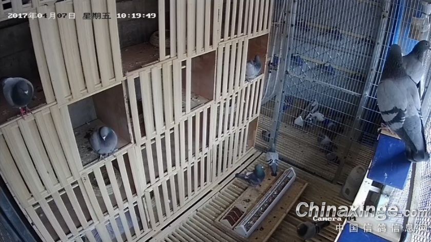 ���������ڲ��ṹ��ƽ���