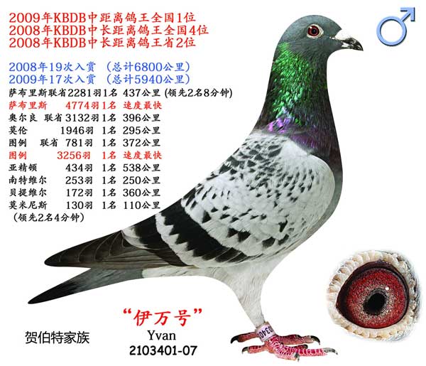 ÿ��һ�룺��ξ����ٶȶ�ڵġ�����š�