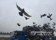 ������̨300������翪�� ֻȡǰ200��
