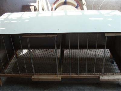 �̳̣���ο�������������