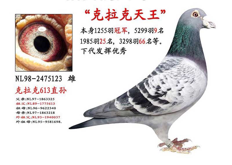 ÿ��һ�룺��������˫�ھ��ġ�������������