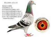 ÿ��һ�룺�ں��˶��ⳤ����ھ�Ѫͳ�ġ����ˡ�