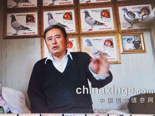 ����ʹ֮�ա����ֳ����ٷ�������������衲ɷú��