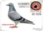 ����ʱ�̣�֧Ԯ���Ѷ�ָ���ھ�