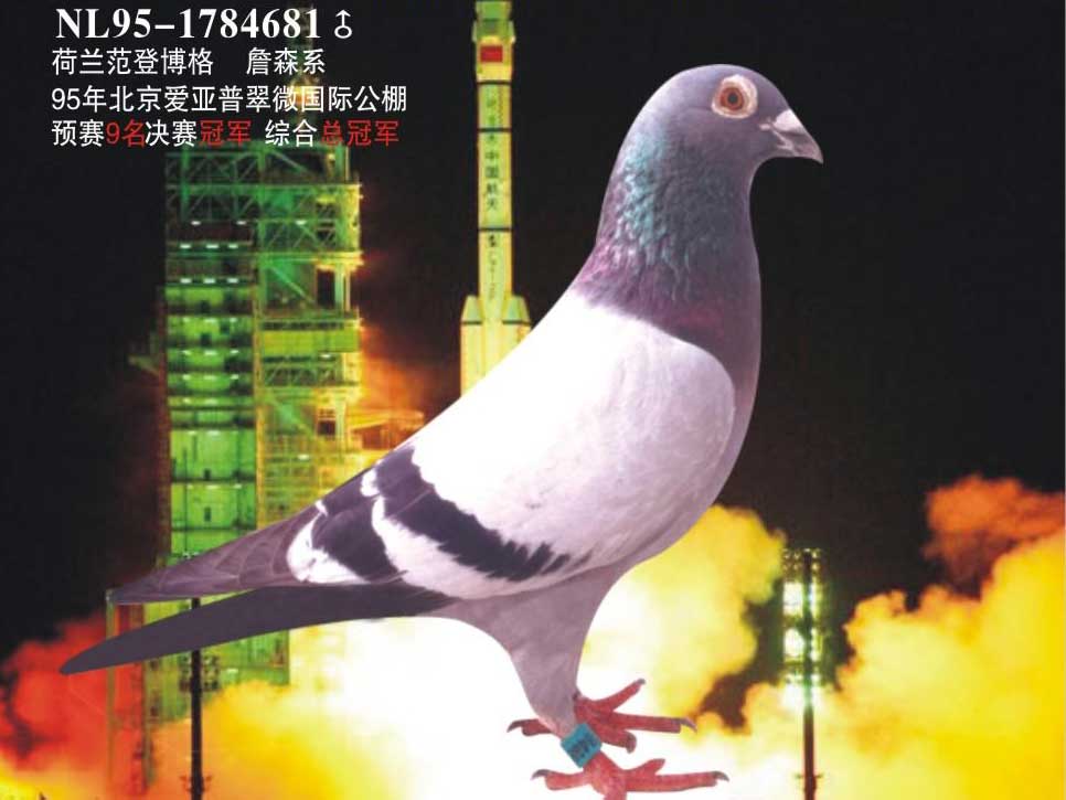 ÿ��һ�룺���г�ǿ�Ŵ������ġ���ɫ�����