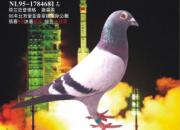 ÿ��һ�룺���г�ǿ�Ŵ������ġ���ɫ�����