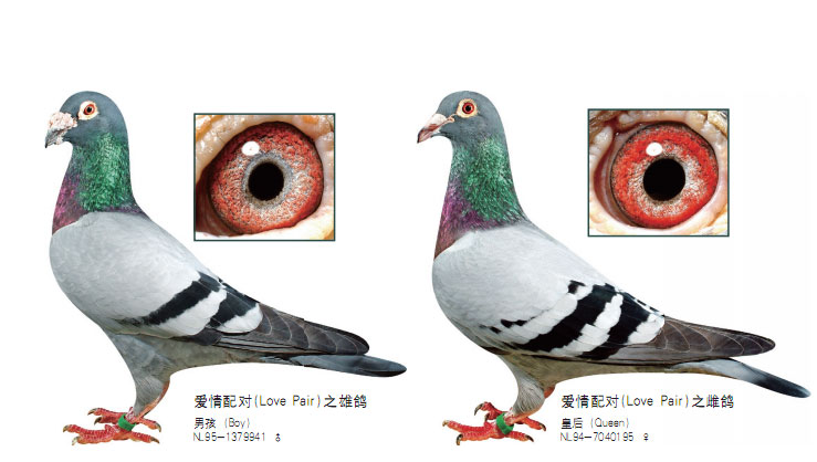 ÿ��һ�룺���������񻰡�������ԡ�