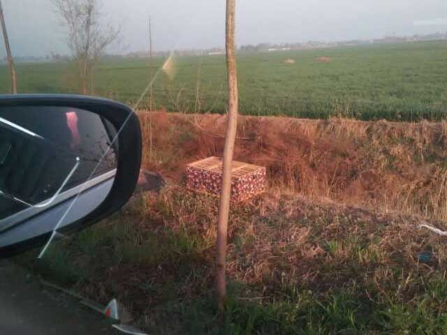 �����׺������𱼲�ѵ��æ