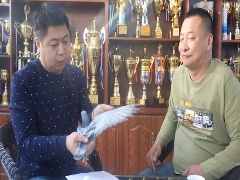 Ƶɸ봫˵߷ýΰиҵ-Խΰ