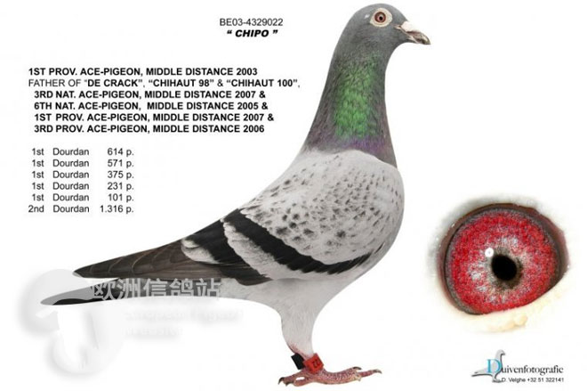 ����KBDB�׸�����ھ��ġ����Ǻš�