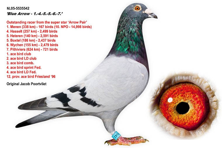 ÿ��һ�룺����ǿ���Ĺھ��롰�Ҽ���