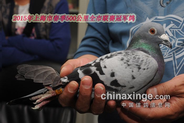 ÿ��һ�룺31050��ھ��� ������ǿ����