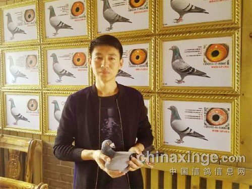 �����Ⱥ���д���֮ǱӰ���ۣ�����Z��ҵ����