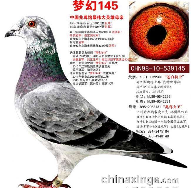 ÿ��һ�룺�����й���������񻰵ġ��λ�145��