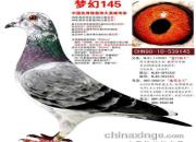 ÿ��һ�룺�����й���������񻰵ġ��λ�145��