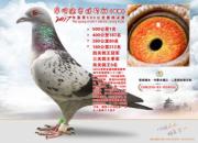 ����ն��16��ָ���ھ� ����68��