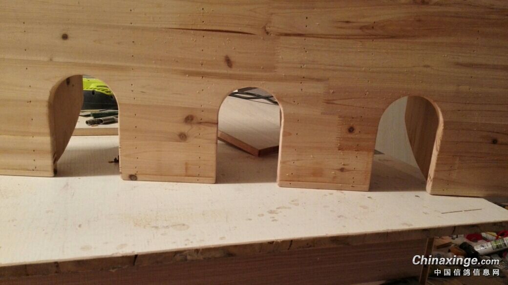 �������մ�ʦ�� ����ľ����ϧ��