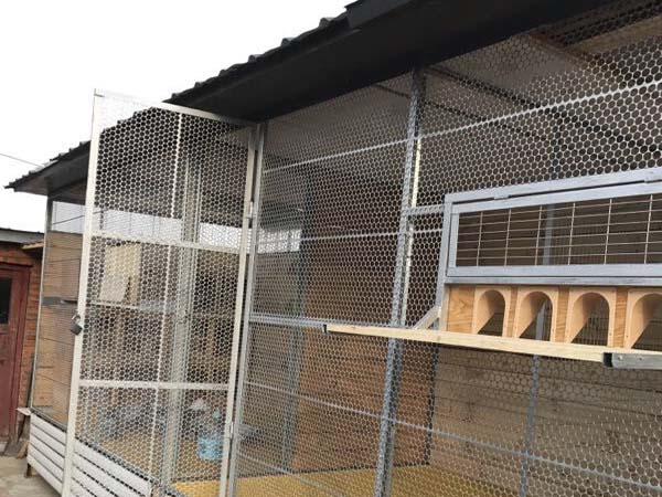 ���ɣ��������ĸ���