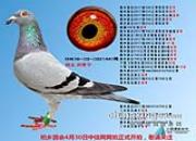 ���û�һ·����ն�� �¶�������Ǿ�