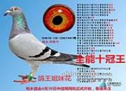 �ɹ��Ĳſ��� �����г�������ʤ�����ļ�����ʼ