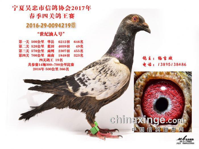 ���������˺š�