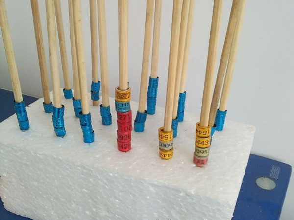 �������������㻷��