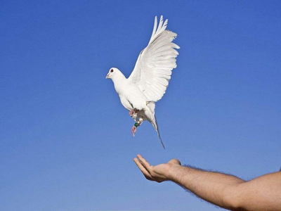 ʫ��һ�ף���Ե